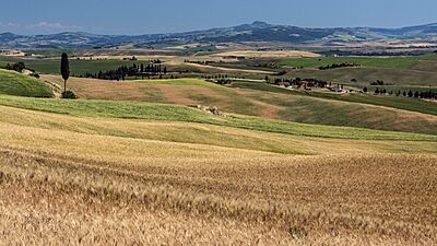 Vista da Pienza