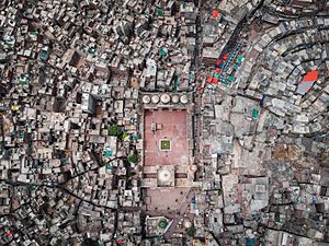 Wazir Khan Mosque - Aerial View