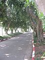 Weizmann Institute IMG 2321