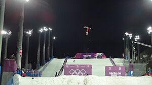 Акробатика Фристайл