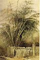 1 Bronte House001