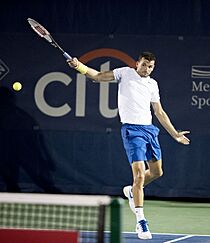 2017 Citi Open Tennis Grigor Dimitrov (35948754410)