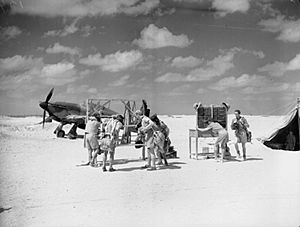 274 Squadron RAF Hurricane pilots Egypt WWII IWM CM 136