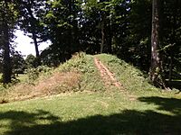 A Mound in the Great Circle Earthworks, Heath