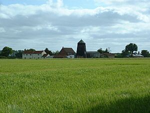 A disused windmill near Neatishead - geograph.org.uk - 24696