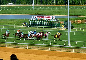 A race at Colonial Downs in New Kent County, Virginia 2019