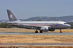 Airbus A319-115X(CJ), Czech Republic - Air Force JP6874150