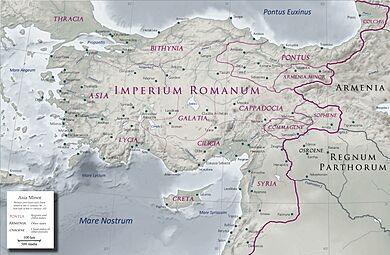 Asia Minor in the early 1st century AD - general map - provinces, client states and main settlements - bleached - English legend