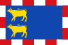 Flag of Novillas