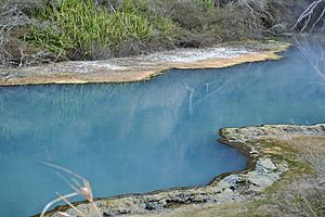 Blue pool on Warbrick Terrace (sinter terrace in Waimangu Volcanic Valley) 2