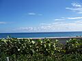 Boynton Beach FL Lofthus ocean01