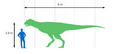 Carnotaurus Size Chart