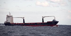 Container ship Reecon Whale on Black Sea near Constanța Romania