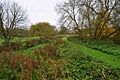 Cuttle Brook, Thame, Oxon (geograph 5610105)