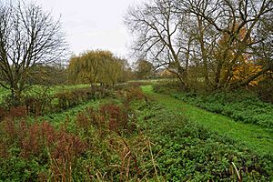 Cuttle Brook, Thame, Oxon (geograph 5610105)