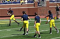 Denard Robinson passing to Devin Gardner