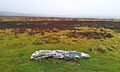 Detail of Porlock Stone Circle II