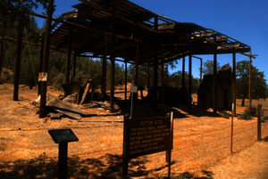 Dutton Hotel