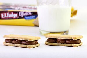 E L Fudge Cookies Double Stuffed Variety