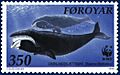 Faroe stamp 198 Baleana mysticetus