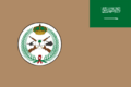 Flag of the Royal Saudi Land Forces