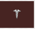 Flag of the Surgeon General of the United States Army with fringe