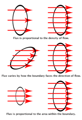 The flux visualized. The rings show the surface boundaries. The red arrows stand for the flow of charges, fluid particles, subatomic particles, photons, etc. The number of arrows that pass through each ring is the flux.