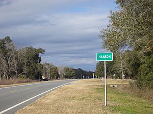 Hanson Sign, Florida 145 NB