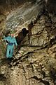 Horne lake lower cave