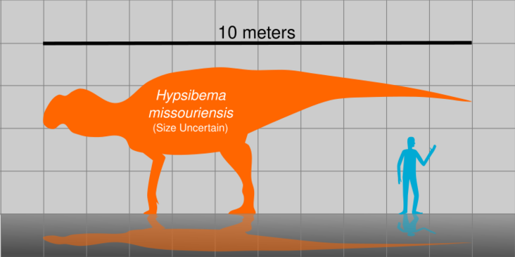 Hypsibema missouriensis Size Chart