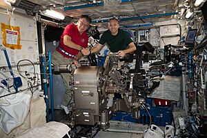 ISS-52 Paolo Nespoli and Randy Bresnik work in the Columbus module