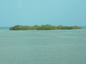 The island of Indian Key where the settlement was located, as seen from U.S. 1 (Overseas Highway)