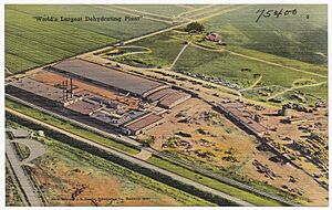 J. R. Simplot Company "World's largest dehydrating plant"