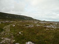Keelhilla, Co. Clare, Ireland - panoramio - georama.jpg