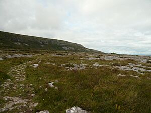 Keelhilla, Co. Clare, Ireland - panoramio - georama