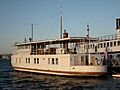 MV Lotus 03