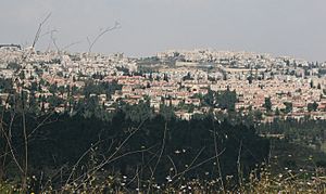 View of Mevaseret from Rekhes Halilim