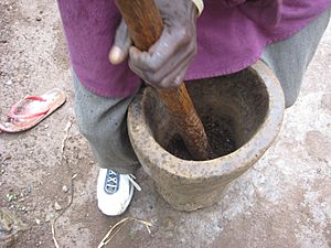 Molitura del caffè a Marangu, Regione del Kilimangiaro, Tanzania
