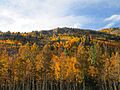 Monarchfall