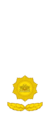 Myanmar officer rank insignia 3.png