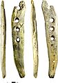 Over 35,000-years-old perforated baton made from mammoth ivory from Hohle Fels Cave, Germany
