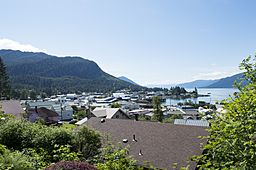 Overview of the town of Wrangell, AK June 7th 2016.jpg