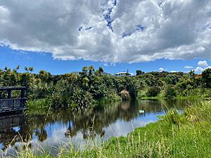 Park in Te Atatu Peninsula's Beach Reserve