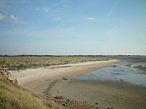 Pilsey Island