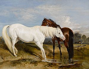Portrait of an Arab Mare with her Foal by Sir Edwin Henry Landseer