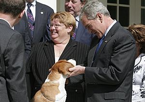 President George W. Bush with Uno the Beagle