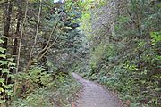 Purisima Creek Trail 4