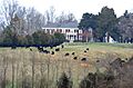 ROKEBY, KING GEORGE COUNTY, VA