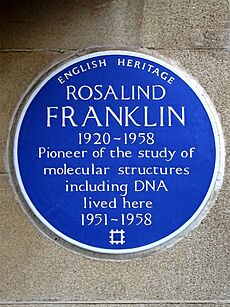 ROSALIND FRANKLIN 1920-1958 Pioneer of the study of molecular structures including DNA lived here 1951-1958
