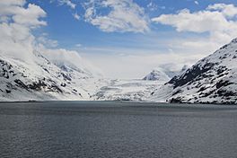 Reid Glacier Alaska.jpg